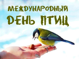Мы отметили день птиц Мы отметили день птиц.