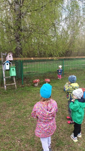 Мы наблюдаем за скворцами Мы наблюдаем за скворцами.